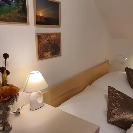 A Restaurace U Sousedu Guest house