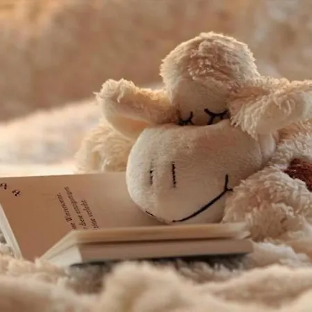 A Restaurace U Sousedu Guest house Strazny